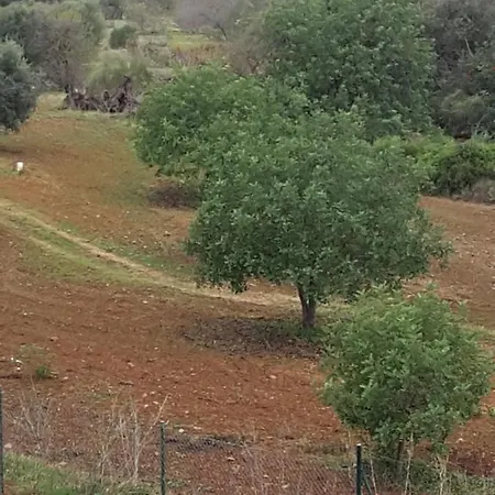 Opomar At Cabanas By Cara